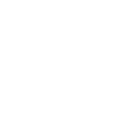 house-repair1.png